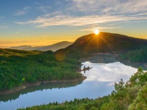 太平山國家森林遊樂區揭曉2024春節最佳旅遊指南